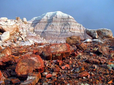 Petrified Forest - Arizona