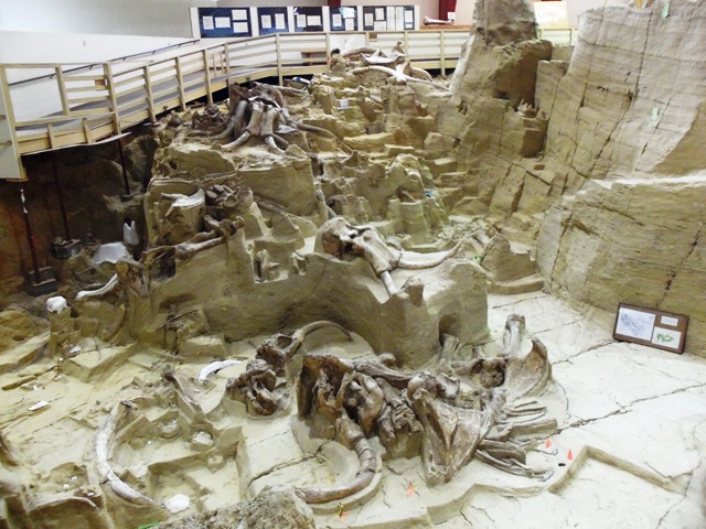 MAMMOTH-SITE