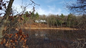 Concord - Walden Pond
