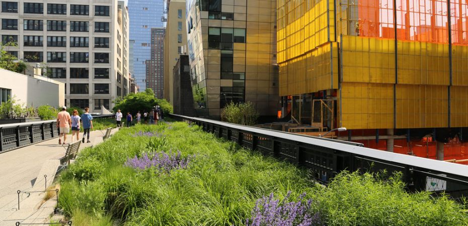 New York - High Line - Photo credit: UGArdener 