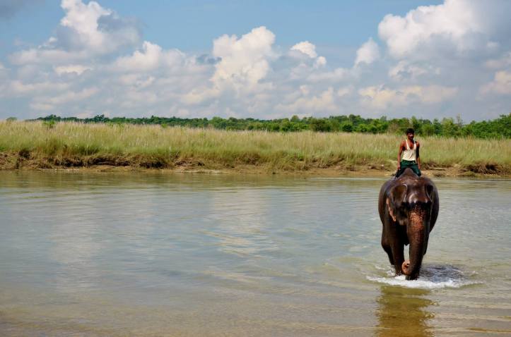 Parco Nazionale Chitwan