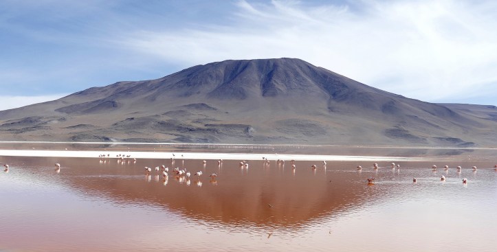 Laguna Colorada - Bolivia