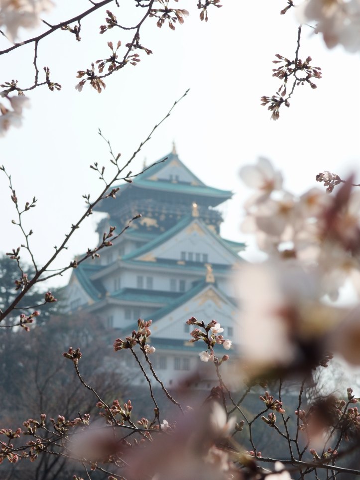 Osaka Castle - Japan