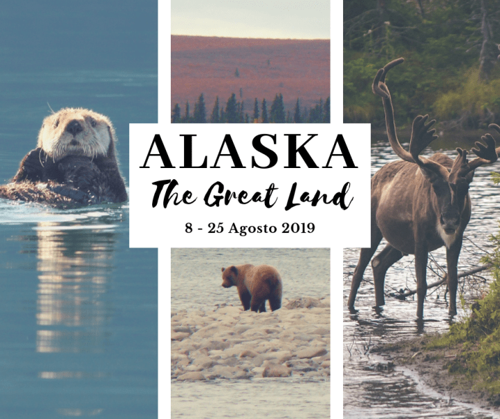 Alaska - The Great Land 8 - 25 agosto